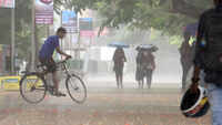 Monsoon likely to hit Kerala in next 96 hours: IMD 