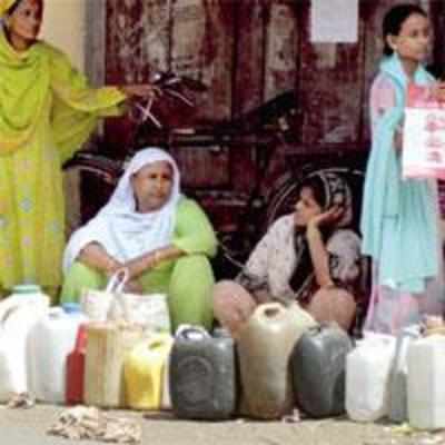 State may start online system for application of ration cards