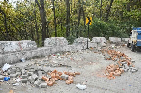 Construction near Rajpur reserve forest halted over threat to wildlife