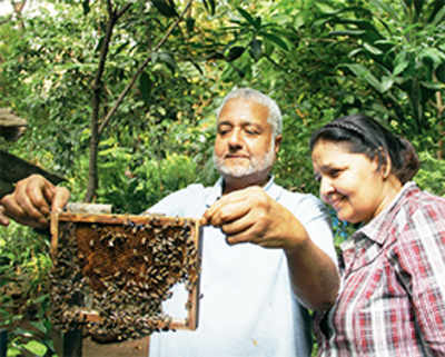 Afzal and Nusrat Khatri: Appeal to better nature