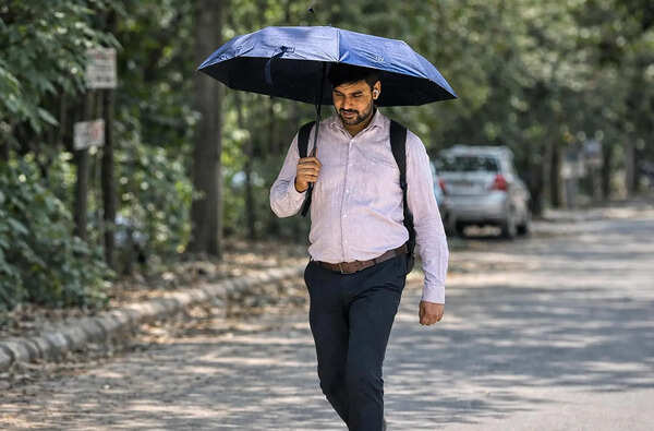 Gurgaon at 41°C, Faridabad hottest at 42.9°C, heatwave to intensify