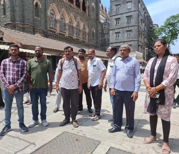 Reply to PIL seeking financial assistance for treatment and care of patients of rare neurological disorder caused by mutated measles virus, Bombay high court tells Centre