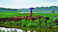 Monsoon knocks on Maharashtra door, but dry-air drag threatens march inland
