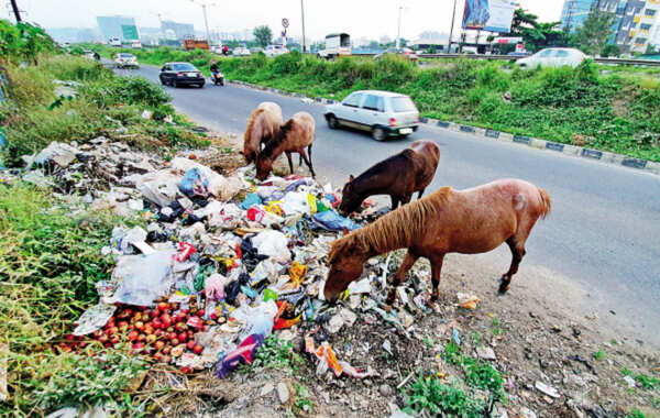 Citizens fume over dumping of trash on Katraj-Dehu Road bypass