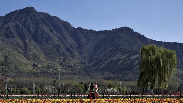 Tourists are back in Kashmir, a holiday reveals