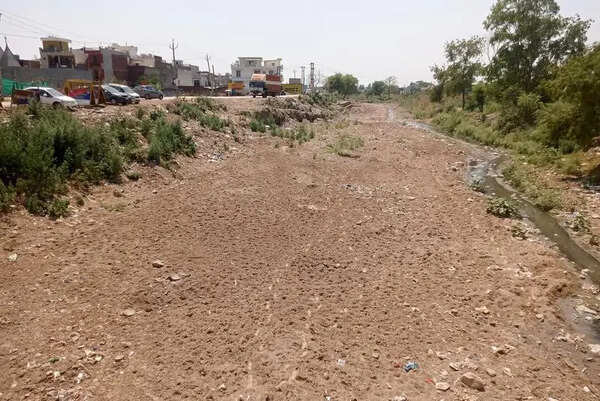 Patiala-ki-Rao clean-up: Councillors allege Rs 4 cr work allotted outside MC limits