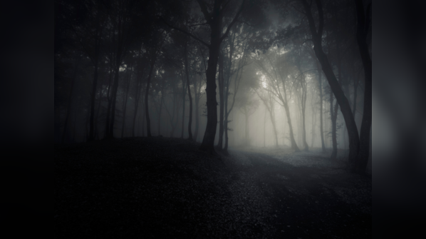 List of the most haunted forests