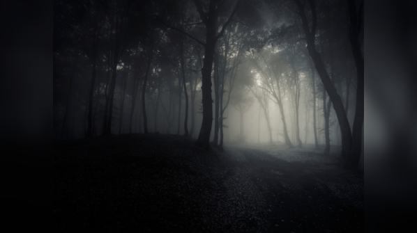 7 Most Haunted Forests In The World