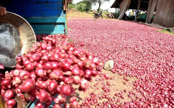Summer onion production may decline by 29% this season in Nashik district, but shortage risks unlikely
