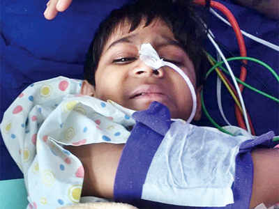 Help pours in to save three-year-old’s life
