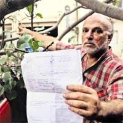 '˜Falling branch nearly crushed us - and it's the BMC's fault'