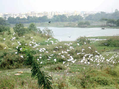 Mallathahalli Lake next in line for rejuvenation