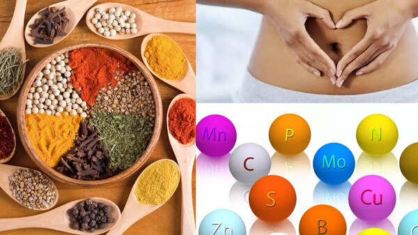 8 Indian spices that help in better nutrient absorption from food