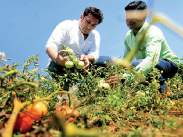 Here's how Rajesh Kumar aka Rosesh Sarabhai is turning Barma into a smart village