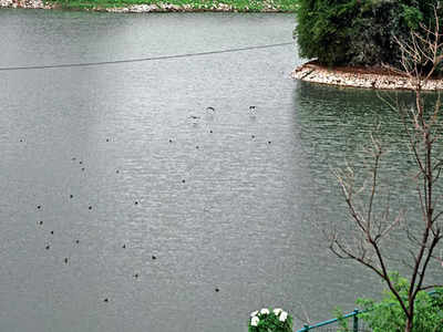 From lower depths, Handenahalli Lake back to life