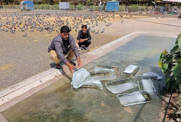Rajkot sizzles at 41.7°C as heatwave grips Gujarat