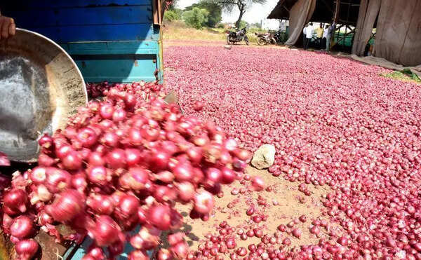 BJP’s Tuljapur MLA urges state govt to push crop diversification amid onion price crash