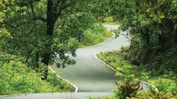 Be part of the plan: Haryana’s collective efforts to preserve biodiversity on International Day of Biodiversity 2024