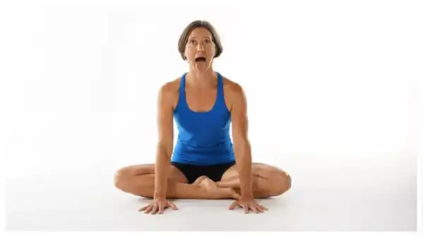 Lion Pose