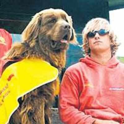 Britain's only canine lifeguard gets the sack