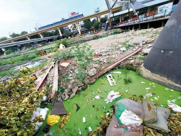 Temperature rise leads to mosquito problem in several localities, residents want regular spraying & better cleaning
