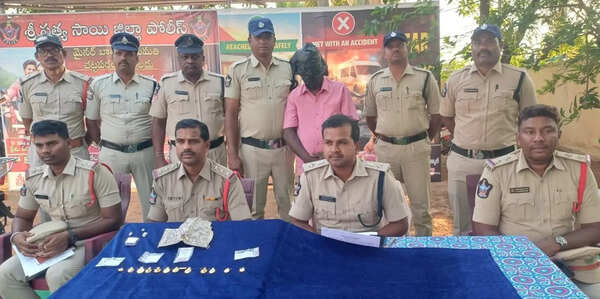 Temple thief nabbed by Sri Sathya Sai police