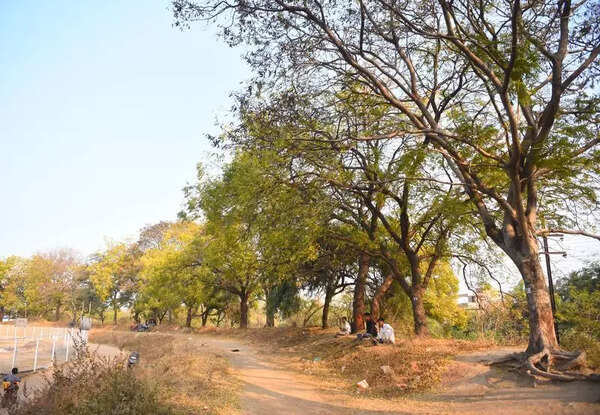 Residents oppose tree felling for proposed South Pavilion at Garware Stadium in Sambhajinagar