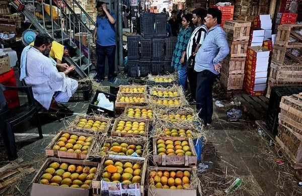 Maharashtra: Mango cultivators warn of decline in Alphonso output