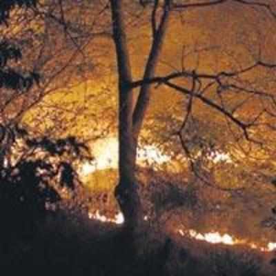 Fire rages at Yeoor Hills