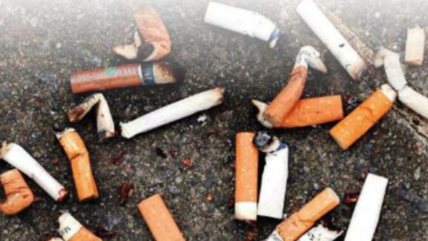 Kovai researchers find way to filter tobacco from water
