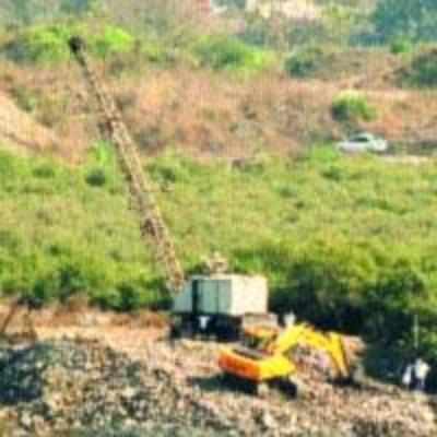 NMMC to create flying squad to protect mangroves
