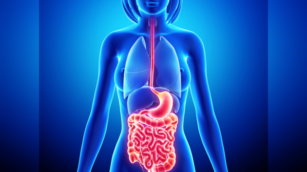 The gut and brain are constantly communicating