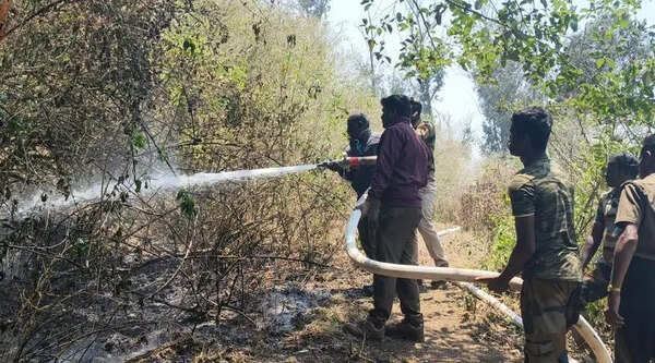 High winds stall aerial ops in battling Nilgiris forest fire