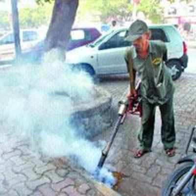 Doing the right thing to counter dengue