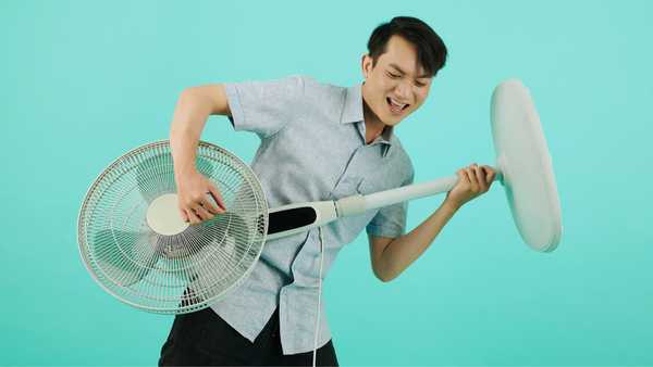 Top Pedestal Fans for Cool Comfort This Summer
