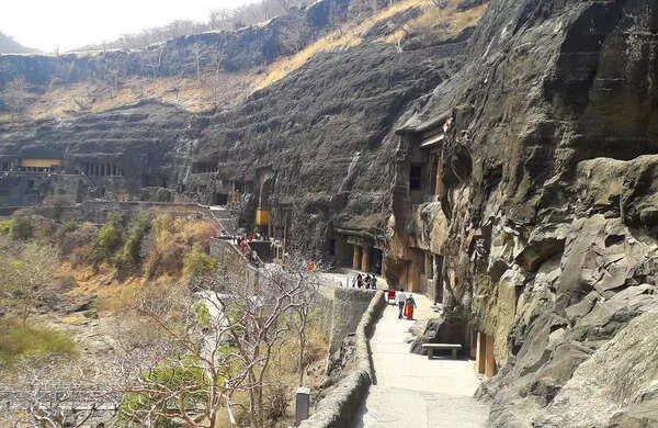 At least 30 injured in bee swarm attack at parking of Ajanta Caves