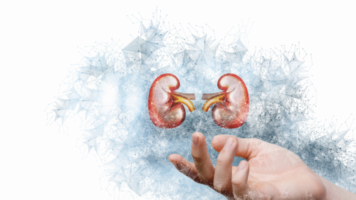 Can vitamin B12 damage kidneys? 5 things to know before regularly taking  this supplement