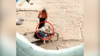 On cam: Azad Hind Fauj veteran woman tortured by daughter-in-law in Haryana village 