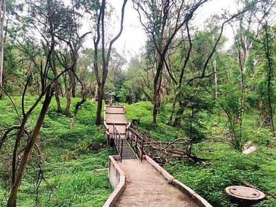 Ensure no trees are cut for Thackeray memorials: CM Uddhav Thackeray instructs functionaries