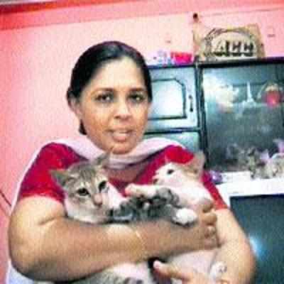 Thane lady fights to keep cats at home