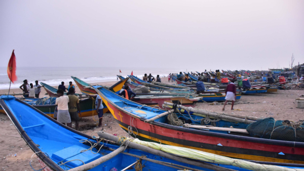 Cyclone Dana: Forest cover 'loss' may make coastal villages more vulnerable in Odisha