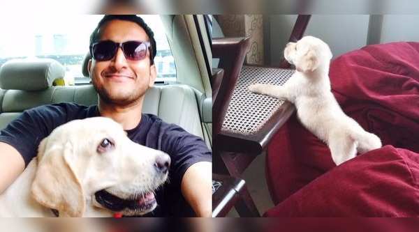 Tollywood celebs and their adorable pet dogs
