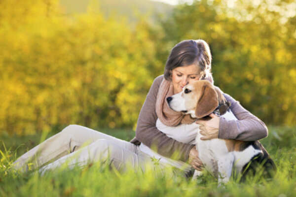 How to help your furry darling beat the heat