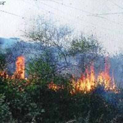 Burning shrubs near ghansoli