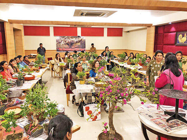 All things bonsai at this workshop in Agra