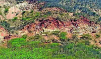 Govt plans 5-hectare plantation drive, but where&rsquo;s the land, ask experts