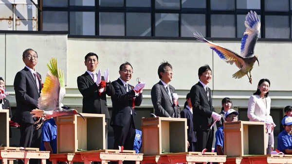 8 crested ibises released in Japanese town decades after extinction in Japan