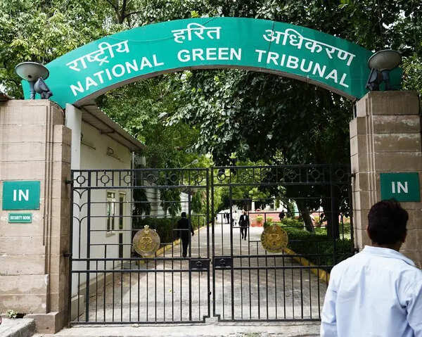 NGT notice on plea challenging Punjab’s farm stay policy