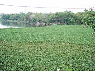 KR Puram lakes to get a new life