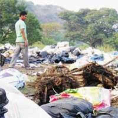 Customs clearance hinders Chitra container clean-up